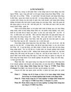 Hoàn thiên công tác kế toán nhập khẩu hàng hoá tại Công ty TNHH Tam Diện Tritagon Co Ltd