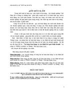 kế toán bán hàng và xác định kết quả kinh doanh 1