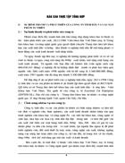 Báo cáo thực tập tại công ty Essential Oil Enterprise ENTEROIL