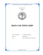 Hoàn thiện công tác thẩm định dự án đầu tư máy móc thiết bị của Công ty TNHH Cơ kim khí Định Công tại ngân hàng SHB