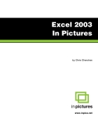 Excel 2003 In Pictures