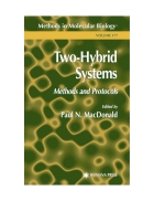 Two Hybrid Systems Methods and Protocols