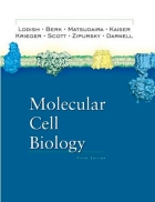 Molecular Cell Biology 5th ed Lodish et al