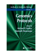 Genomics Protocols