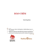 Đảo chìm 1