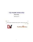 Tội phạm hoàn hảo