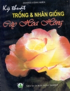 Kỹ thuật trồng và nhân giống cây hoa hồng