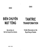 Biến chuyển mật tông