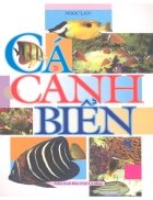 Cá cảnh biển