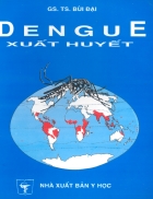 Dengue xuất huyết tái bản lần I có bổ sung