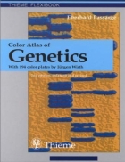 Color atlas of genetics Passarge E