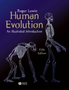 Human Evolution