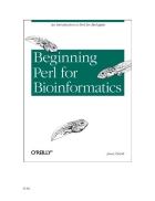 Beginning Perl for Bioinformatics 1st Edition