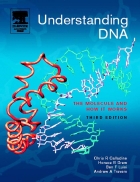 Understanding DNA The Molecule and How it Works 3rd Edition