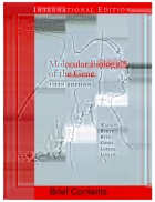 Molecular Biology of the Gene 5th Edition