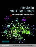 Physics in Molecular Biology 1st Edition