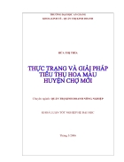 Thực Trạng Và Giải Pháp Tiêu Thụ Hoa Màu Huyện Chợ Mới