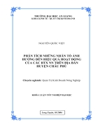 Phân tích những nhân tố ảnh hưởng đến hiệu quả hoạt động của HTX NN Huyện Châu Phú