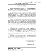 Các giải pháp nâng cao hiệu quả hoạt động đầu tư và thực trạng hoạt động đầu tư phát triển tại công ty xuất nhập khẩu và đầu tư IMEXIN Hà nội