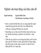 Nghiên cứu hoạt động của hiệu cầm đồ