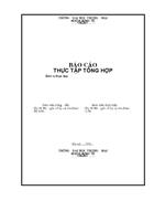Một số hướng dẫn làm Báo cáo tốt nghiệp đại học trường ĐHTM