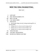 Môi trường maketing ví dụ từ công ty Kinh Đô