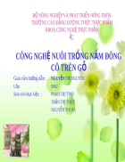 Tieu luan cong nghe trong nam dong co tren go