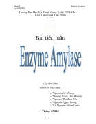 Enzym Amylase