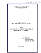 Hệ chuyên gia chuẩn đoán bệnh thần kinh tâm thần