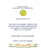 Kế toán xác định và phân tích kết quả kinh doanh của Công ty bảo vệ thực vật An Giang