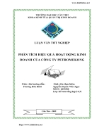 Phân tích hiệu quả hoạt động kinh doanh của công ty dầu khí Mekong