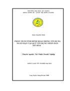 Phân tích tình hình hoạt động tín dụng ngắn hạn tại Quỹ Tín Dụng nhân dân Mỹ Hòa phường Mỹ Hòa thành phố Long Xuyên tỉnh An Giang