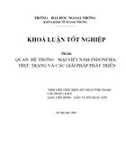 Quan hệ thương mại Việt Nam Indonesia thực trạng và giải pháp phát triển