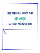 Hiện Trạng Xử Lý Nước Thải Dệt Nhuộm Tại TP Hồ Chí Minh
