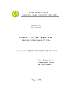 Lên men Lactic trong Salad cà chua