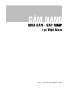 Hoạt động M A TẠI VIỆT NAM