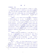 Sử dụng phương pháp trò chơi để hình thành và phát triển kĩ năng xã hội cho trẻ chậm phát triển trí tuệ học hòa nhập tại trường tiểu học Hải Vân thành phố Đà Nẵng