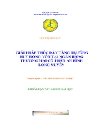 Giải pháp thúc đẩy tăng trưởng huy động vốn tại ngân hàng thương mại cổ phần An Bình Long Xuyên