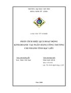 Phân tích hiệu quả hoạt động kinh doanh tại ngân hàng công thương chi nhánh tỉnh bạc liêu