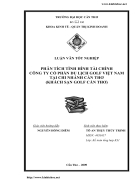 Phân tích tình hình tài chính Công ty Cổ phần Du lịch Gofl Việt Nam Chi nhánh Cần Thơ Khách sạn Gofl Cần Thơ