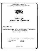 Báo cáo thực tập tại Công ty TNHH 1 thành viên phân đạm và hóa chất Hà Bắc