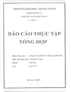 Bao cao thuc tap tai cong ty co phan Son Tong hop Ha Noi