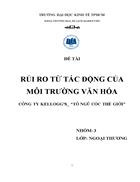 Rủi ro từ tác động của môi trường văn hóa công ty kellogg s tô ngũ cốc thế giới