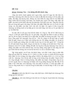 Samsung Vina Con đường dẫn đến thành công