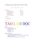 Tảo Lam Độc