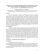 Khảo sát sự thay đổi nồng độ đạm lân bod trong nước thải chăn nuôi heo có trồng thủy canh cỏ và lục bình