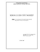 Một số giải pháp chủ yếu nhằm đẩy mạnh xuất khẩu hàng dệt may Việt nam vào thị trường Mỹ