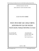 Phân tích hiệu quả hoạt động kinh doanh tại chi nhánh ngân hàng ngoại thương cà mau