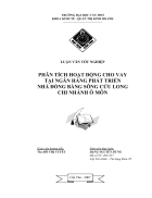 Phân tích hoạt động tín dụng tại ngân hàng phát triển nhà đồng bằng sông cửu long chi nhánh sađéc 2004 2006