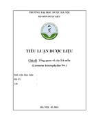 Tổng quan tài liệu về cây Ích mẫu Leonurus heterophyllus